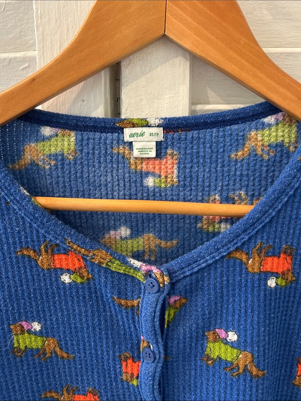 aerie Blue Waffleknit Henley Pajama Top with Multicolor Dog Motif